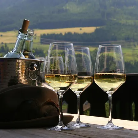 Tauern Schrempf - Anna Apartment *